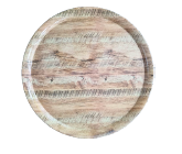 Kaplama Yuvarlak Tepsi Kaktüs Desen 36 cm